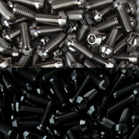 
              Ducati Modern 10 Bulloni per Disco Freno Anteriore Titanio (M8*20) Neri / Argento
            